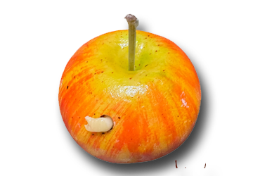 frutta_marto_mela frutta_marto_mela